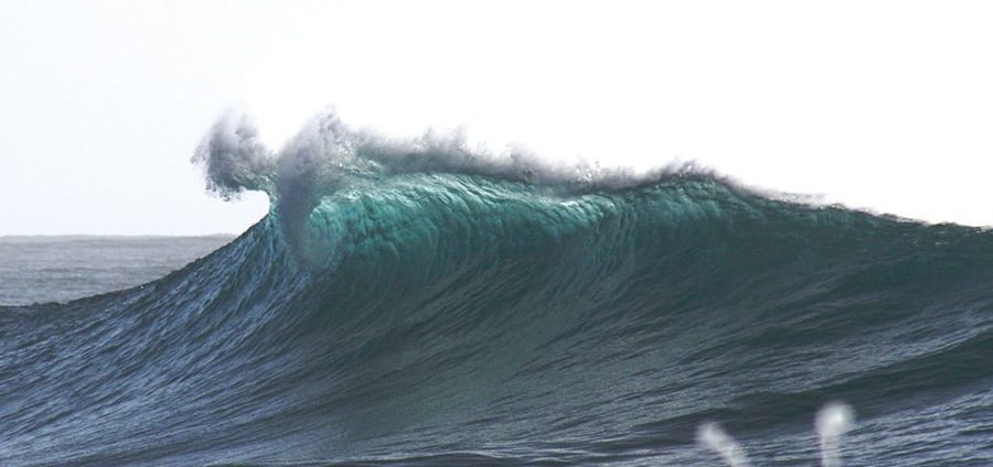 reglas del surf en australia