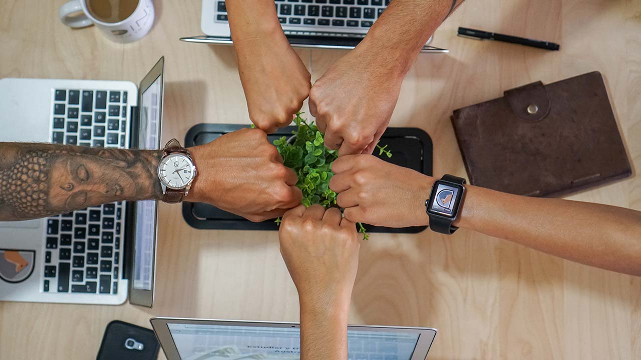 que curso elegir para estudiar en australia