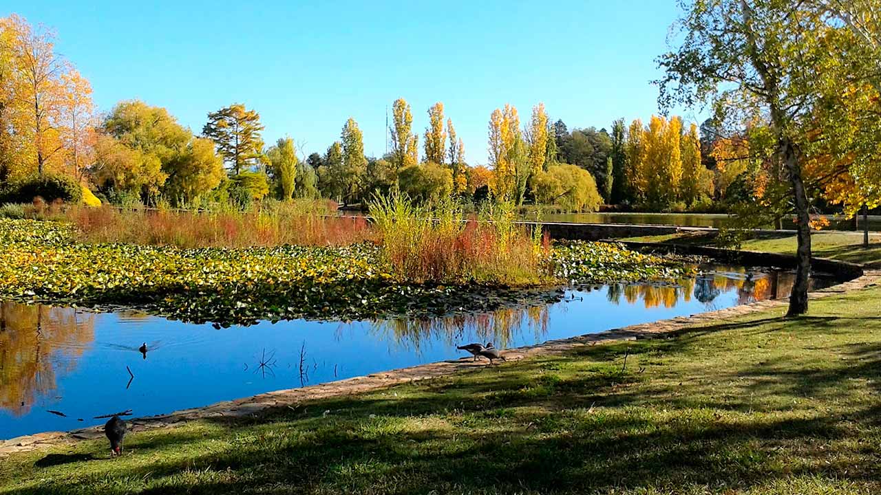 que-ver-en-canberra