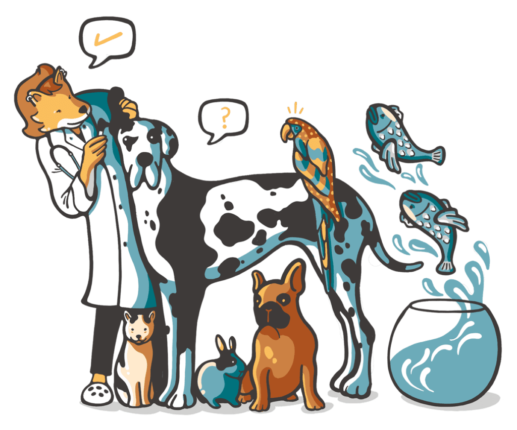¿Cómo trabajar de veterinario en Australia? - Dingoos