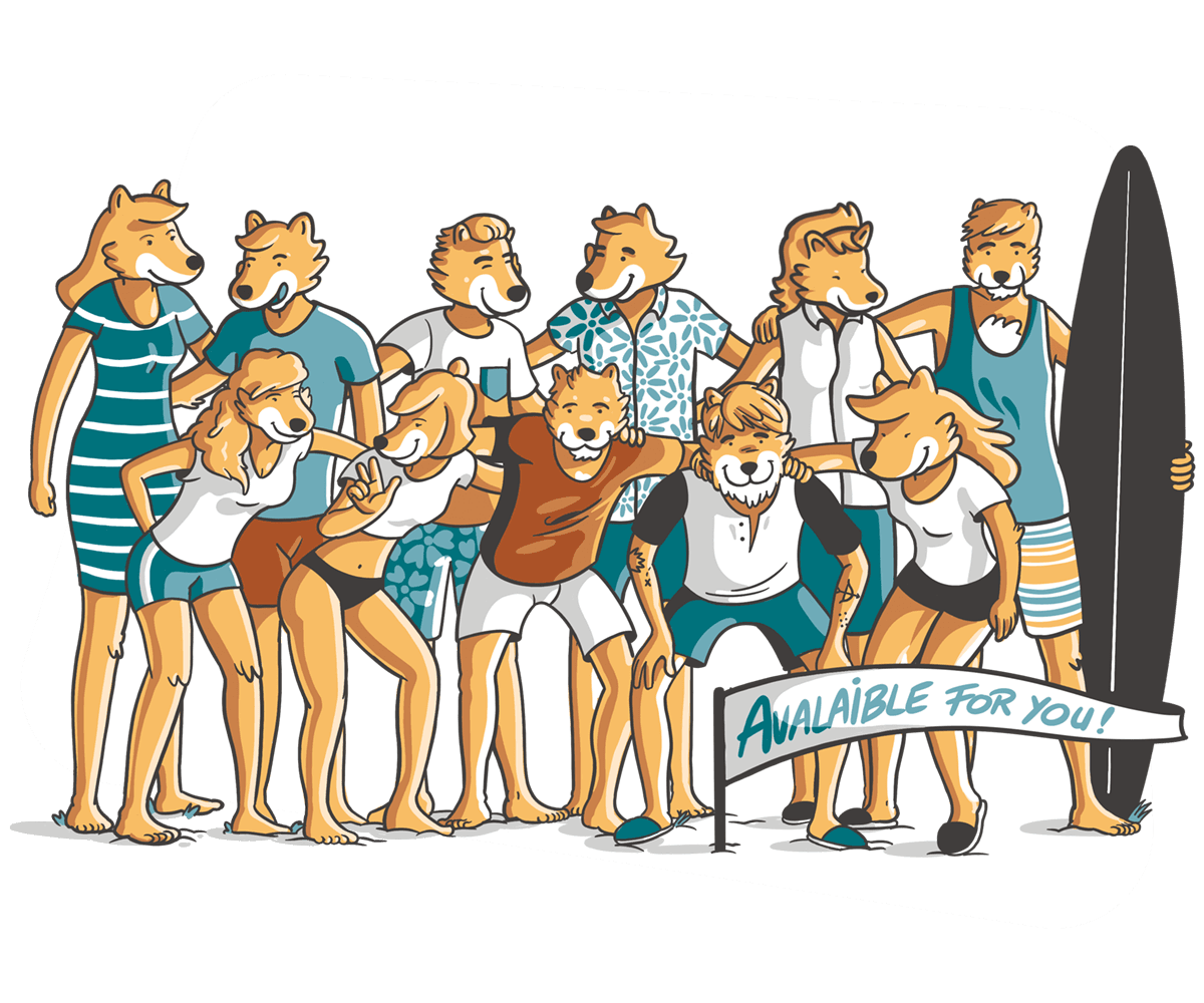 Equipo Dingoos ilustracion