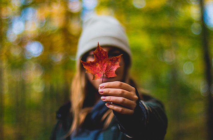 4 consejos canada