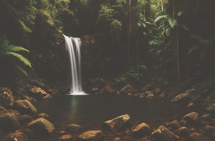 springbook en gold coast interior blog