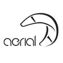 Aerial Kiteboarding Logo