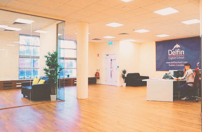 delfin school dublin inerior blog