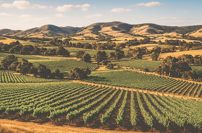 el valle de barossa interior blog