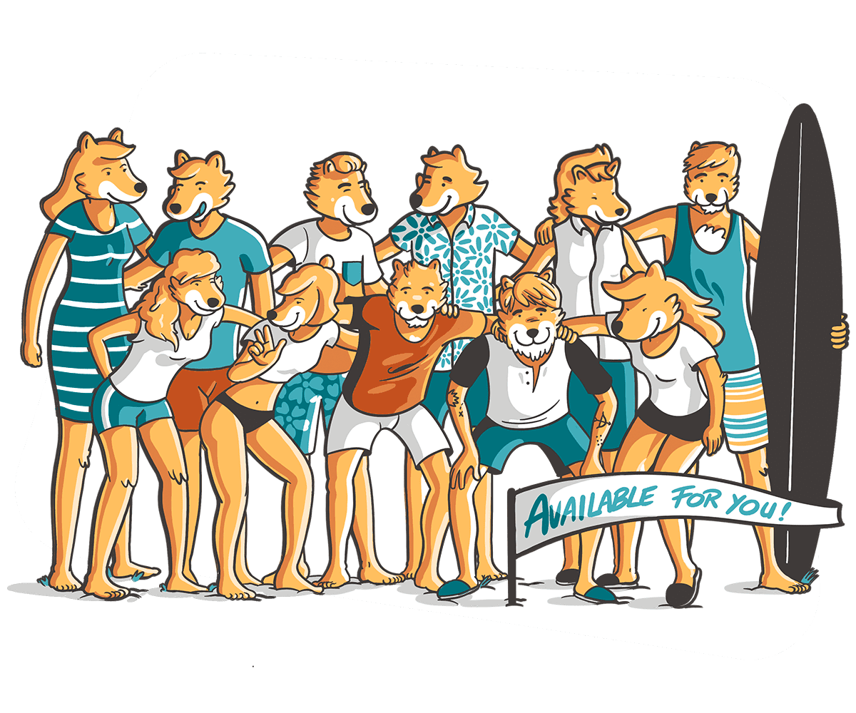 equipo dingoos ilustracion