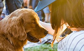 estudiar cuidado de animales en australia