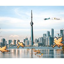 estudiar en toronto miniatura