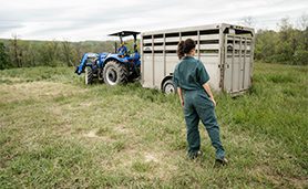 estudiar operaciones rurales en austrlaia