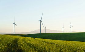 estudiar operaciones sostenibles en australia