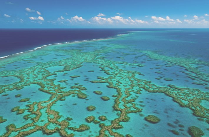 gran barrera de coral interior blog