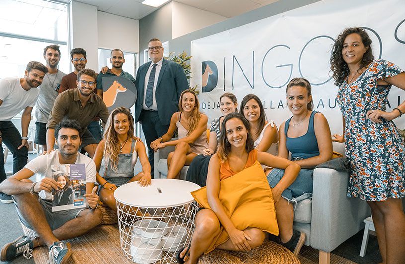 Dingoos Team Oficina 17